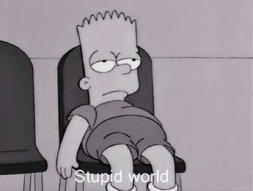 stupid_world