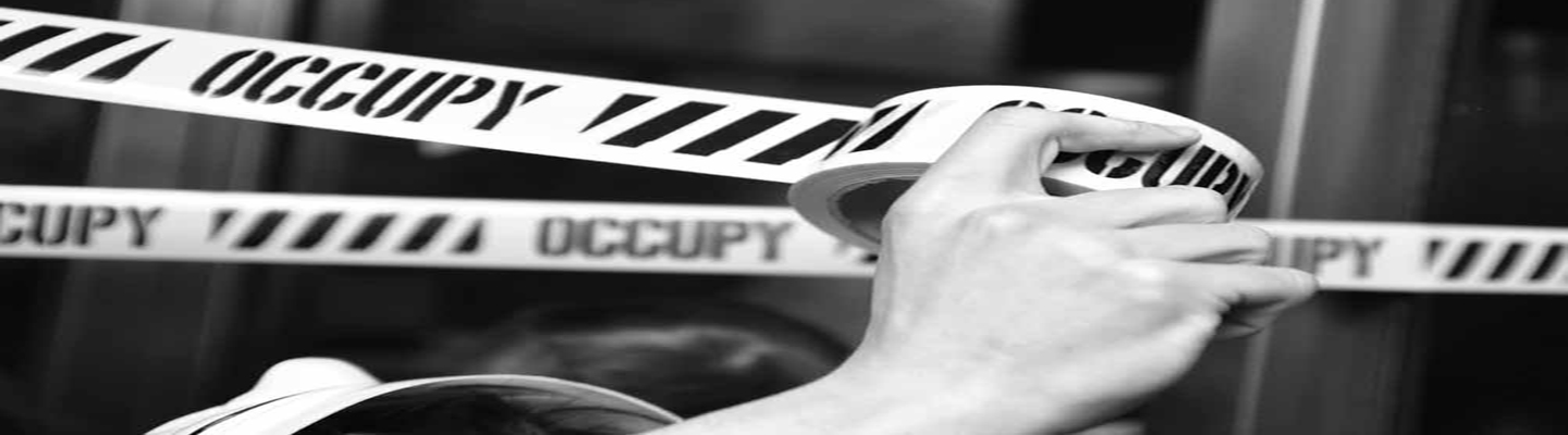OCCUPY WALL STREET ERT