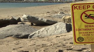 contaminated-beaches