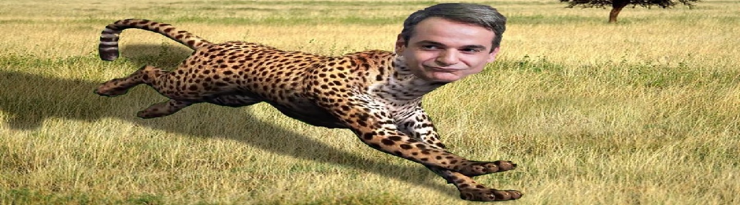 ΤΣΙΤΑΧ ΜΗΤΣΟΤΑΚΗΣ